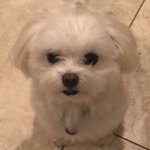 Meet your Posher, Alessia